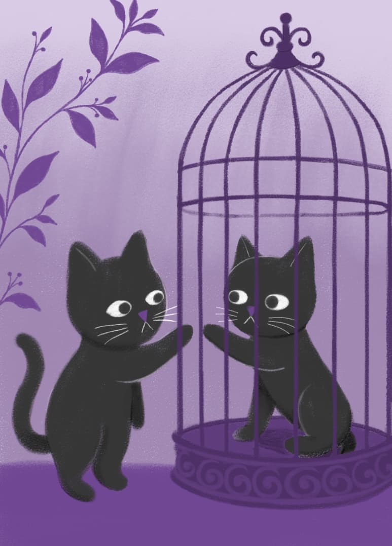Card illustration
