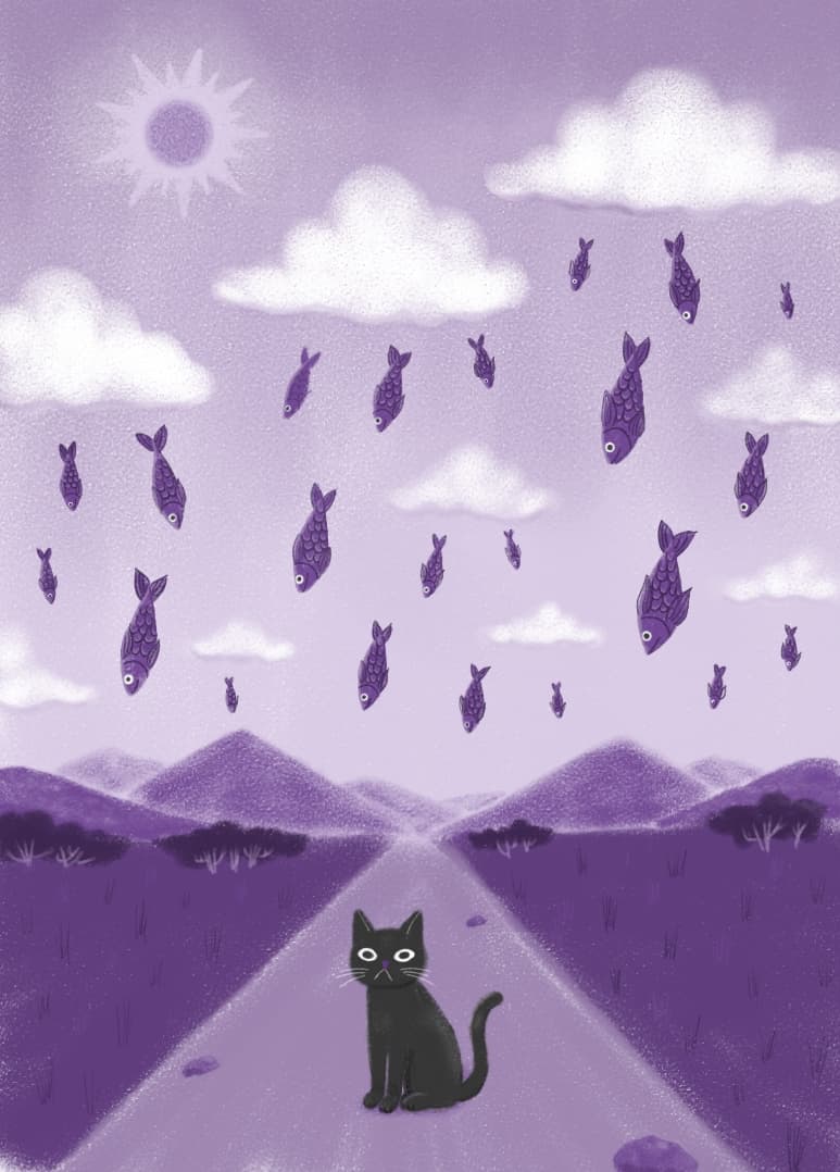 Card illustration