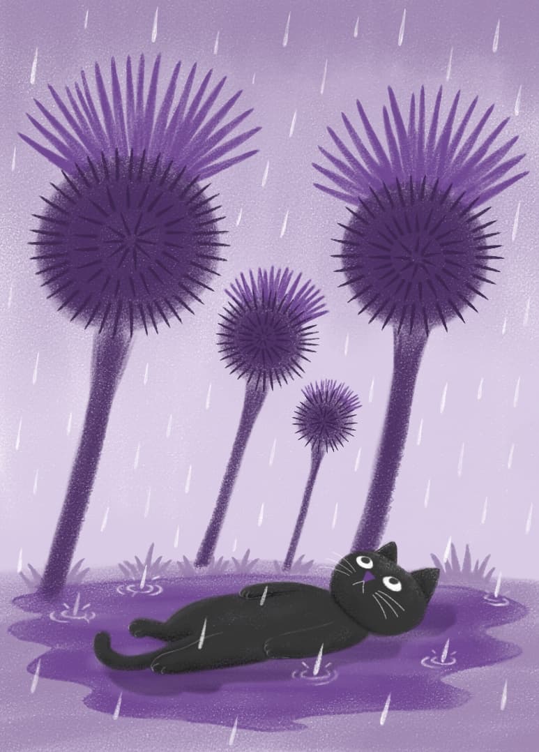Card illustration
